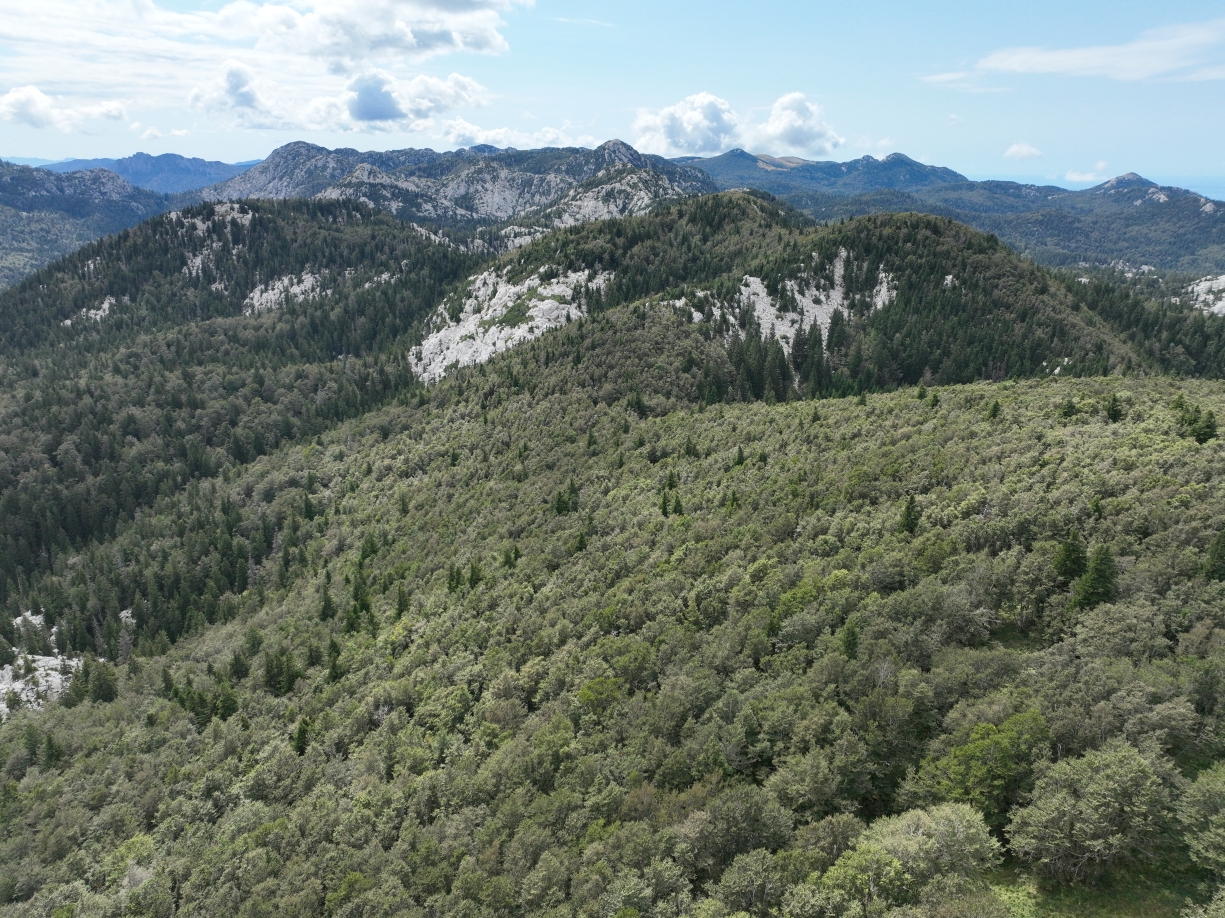Europski dan mreže Natura 2000